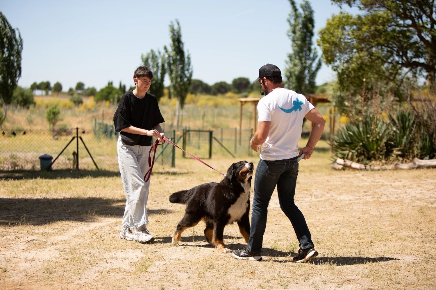 Prácticas del curso de adiestrador canino profesional de Kawana en Madrid