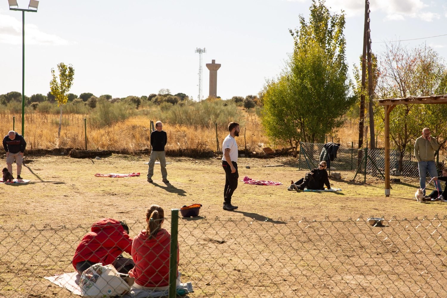 Curso de cachorros de Kawana en Madrid