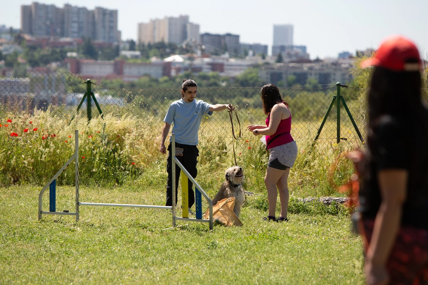 Clase grupal de educación canina de Kawana en El Pardo, Madrid