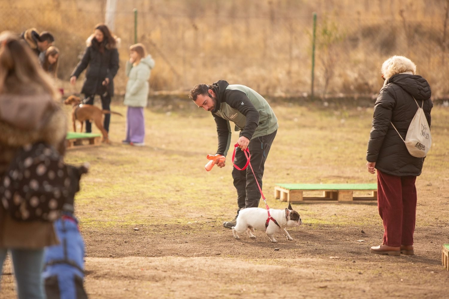Clase grupal de educación canina de Kawana en El Pardo, Madrid