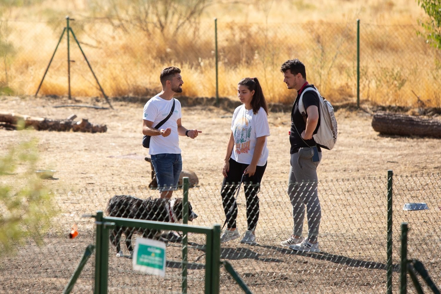 Clases particulares de adiestramiento canino de Kawana a domicilio en Madrid