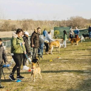 Curso Profesional de Peluquería Canina