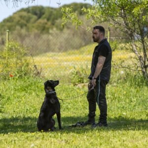 Excursión canina